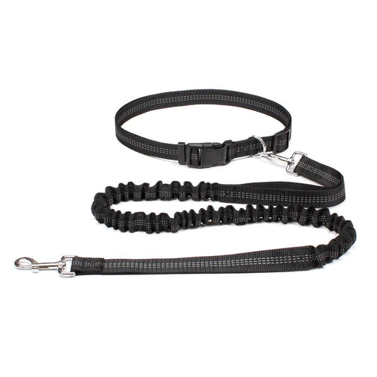 Premium Hands‑Free Dog Leash with Adjustable Waist Belt & Chest Strap – For Walking, Running & Jogging Adventures