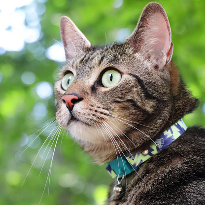 KITTYRAMA BOTANICALS LOTUS CAT COLLAR - Quick Release, Breakaway, Hypoallergenic