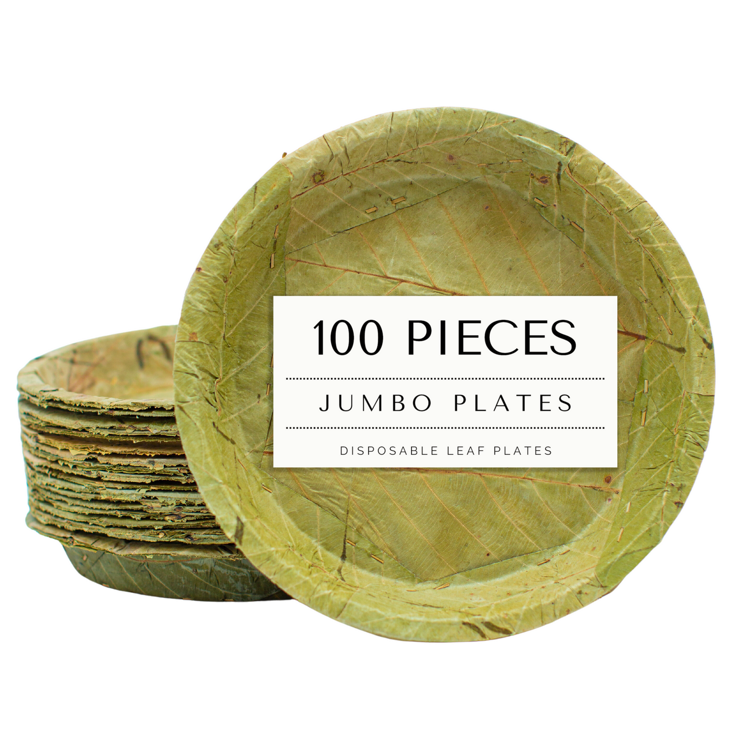 Extra Large Sal Leaf Plates - 27cm / 10.5 inch diameter