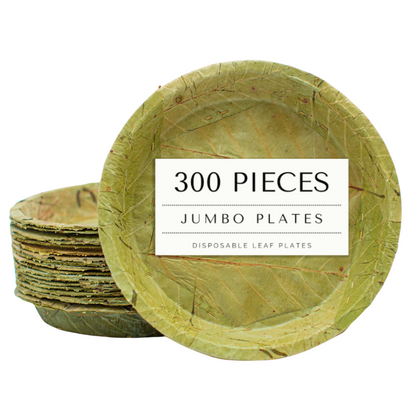 Extra Large Sal Leaf Plates - 27cm / 10.5 inch diameter