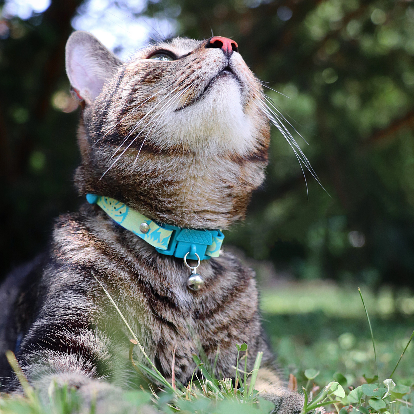 KITTYRAMA BOTANICALS JUNGLE CAT COLLAR - Quick Release, Breakaway, Hypoallergenic