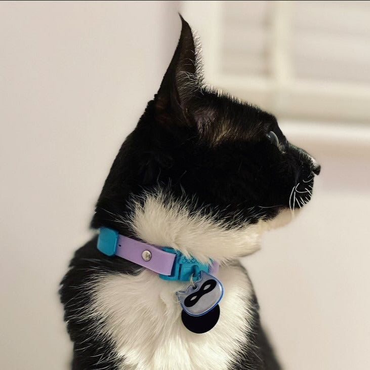 KITTYRAMA BLUE NINJA CAT CHARM – Reflective, Safe, High Visibility