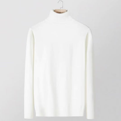 New Slimfit Turtleneck Sweater For Men