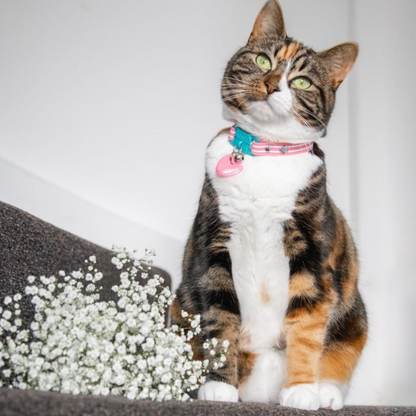 KITTYRAMA HEART CAT CHARM – Reflective, Safe, High Visibility