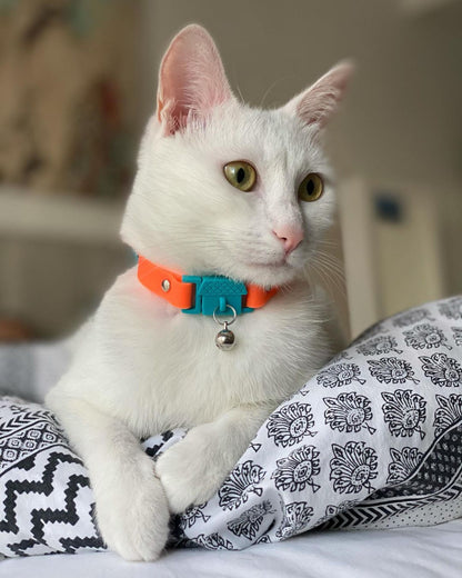 KITTYRAMA TANGERINE CAT COLLAR - Quick Release, Breakaway, Hypoallergenic
