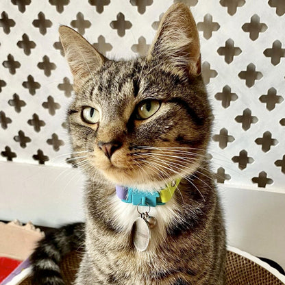 KITTYRAMA TAHITI CAT COLLAR - Quick Release, Breakaway, Hypoallergenic