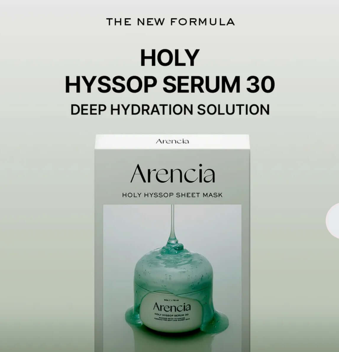 Arencia Holy Hyssop Sheet Mask 5 Pack
