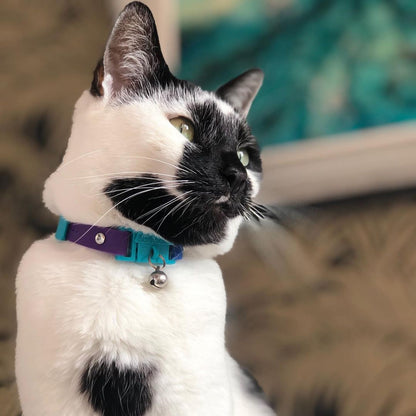 KITTYRAMA MONTE CARLO CAT COLLAR - Quick Release, Breakaway, Hypoallergenic