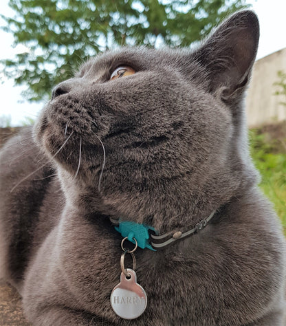KITTYRAMA HAVANA CAT COLLAR - Quick Release, Breakaway, Hypoallergenic
