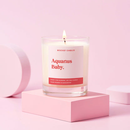 Aquarius Birthday Gift Funny Zodiac Candle Aquarius Baby