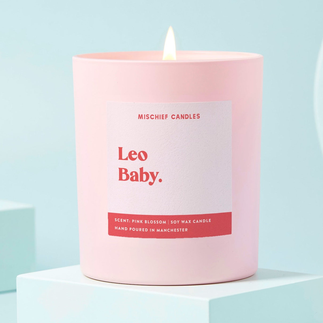 Leo Birthday Gift Funny Zodiac Birthday Candle Leo Baby