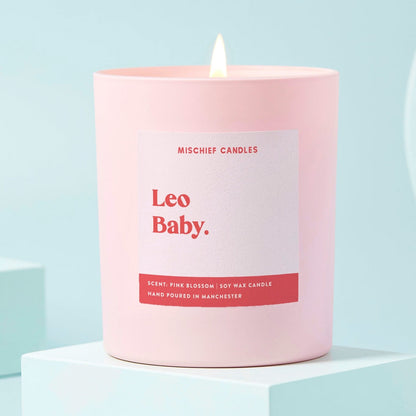 Leo Birthday Gift Funny Zodiac Birthday Candle Leo Baby