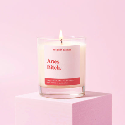 Aries Birthday Gift Funny Zodiac Candle Aries Bitch