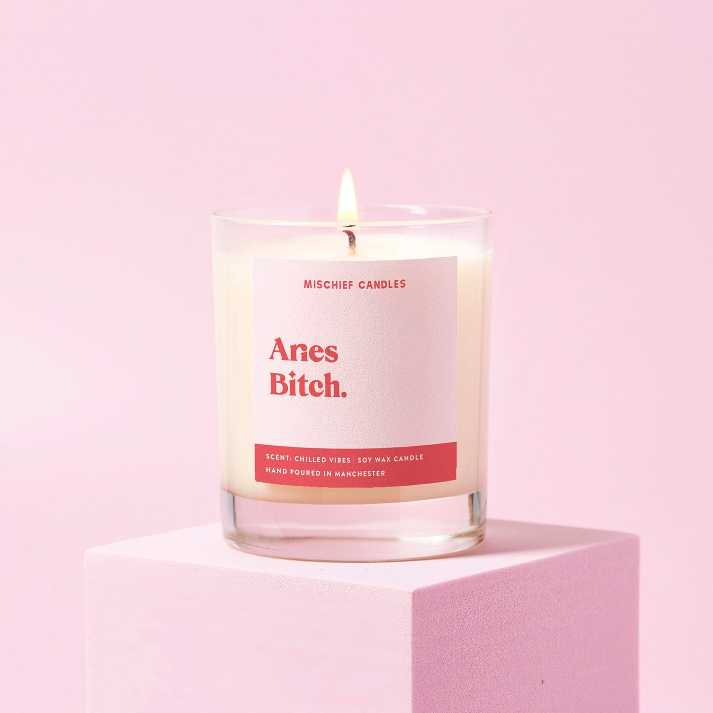 Aries Birthday Gift Funny Zodiac Candle Aries Bitch