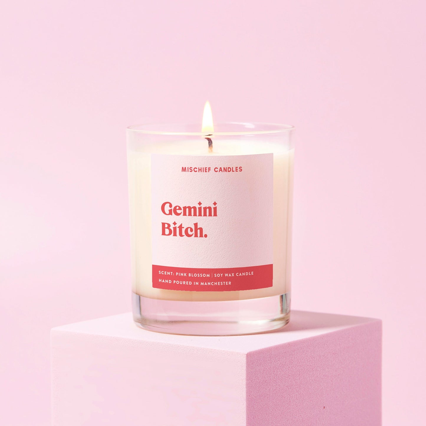 Gemini Birthday Gift Funny Zodiac Candle Gemini Bitch