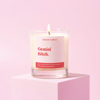 Gemini Birthday Gift Funny Zodiac Candle Gemini Bitch
