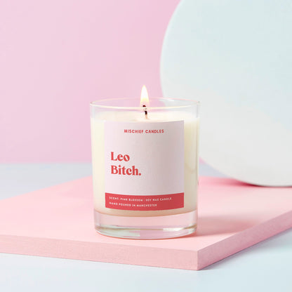 Leo Birthday Gift Funny Zodiac Birthday Candle Leo Bitch