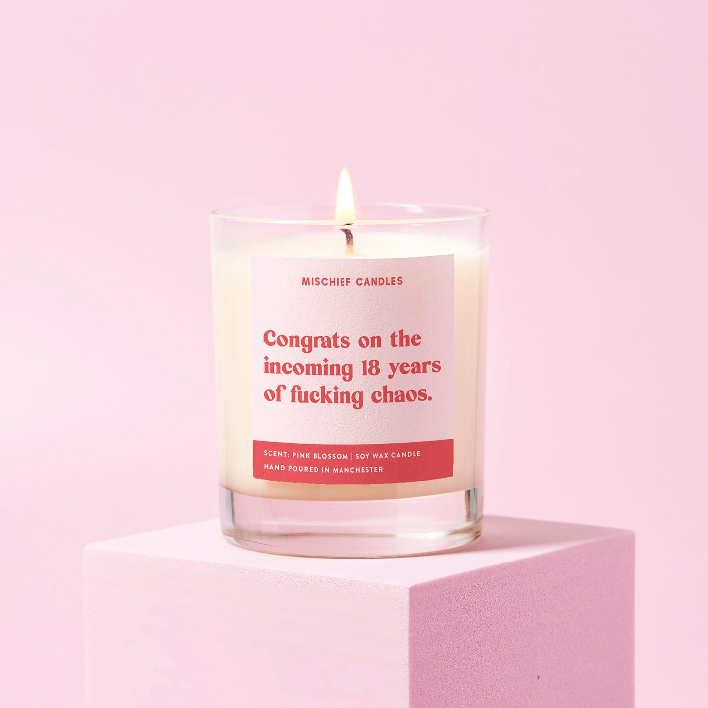 New Baby Funny Baby Shower Gift Candle 18 Years of Chaos