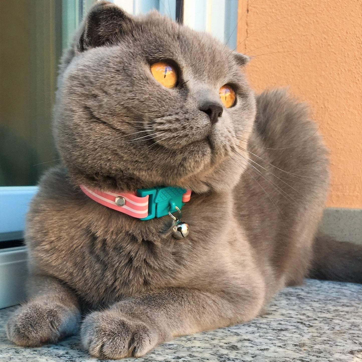 KITTYRAMA BERMUDA CAT COLLAR - Quick Release, Breakaway, Hypoallergenic