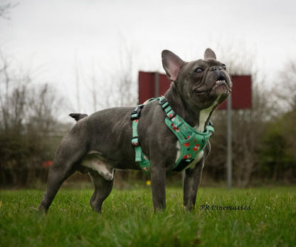 Inquisitive Fox No Pull Tactical Dog Harness – Green Fox Print, Adjustable, Step-In (XS-XL)