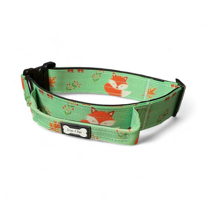 Inquisitive Fox Collar