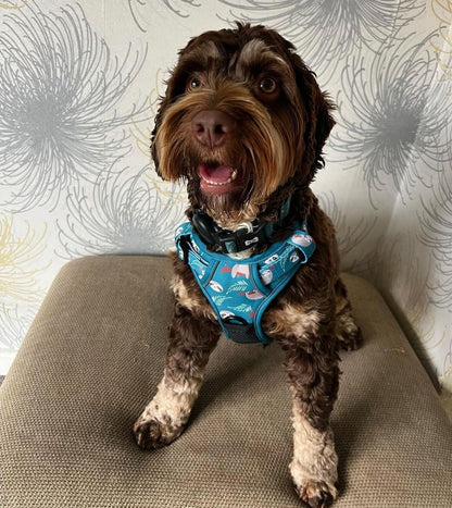 Lazy Sloth Tactical Dog Harness