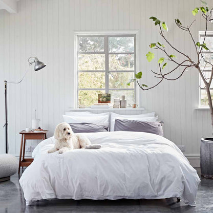 Sheet Set